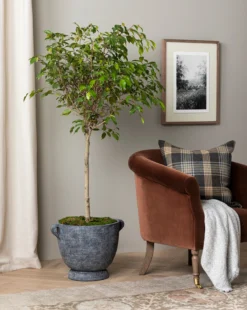 Esma Gray Fringed Throw -Bloomingville Shop 20230608 SS FallCatalogue 006 T