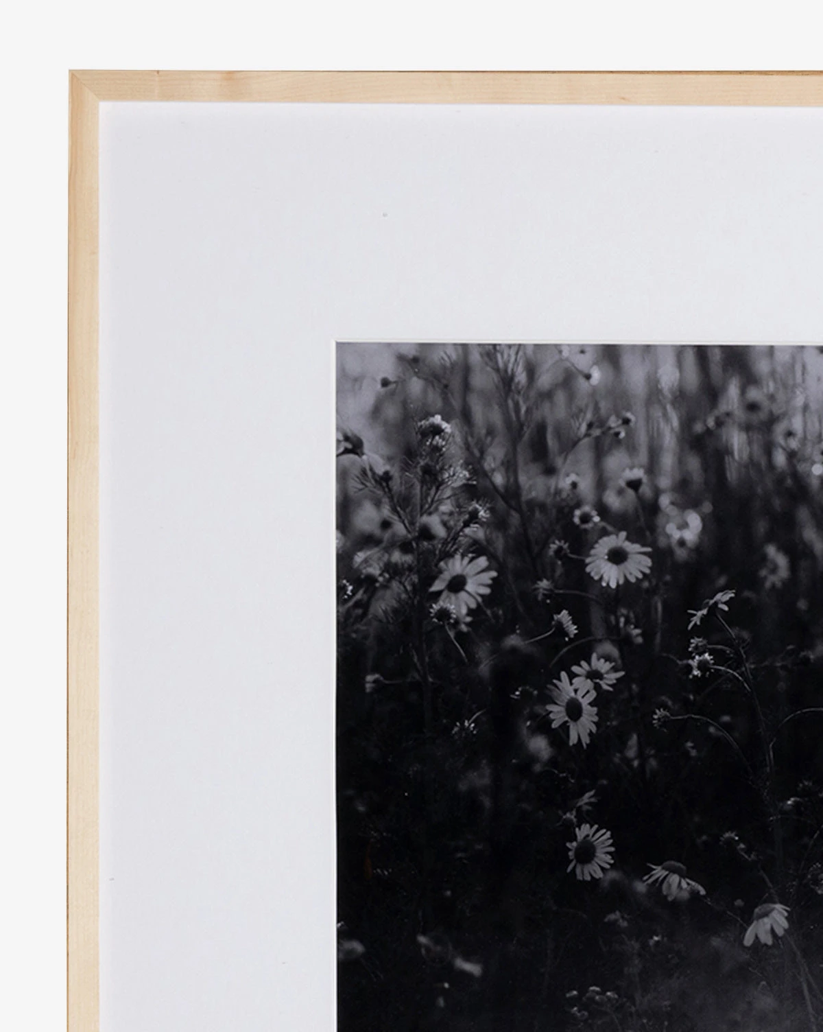 Film Of Florals 2 Film Of Florals - Image 2