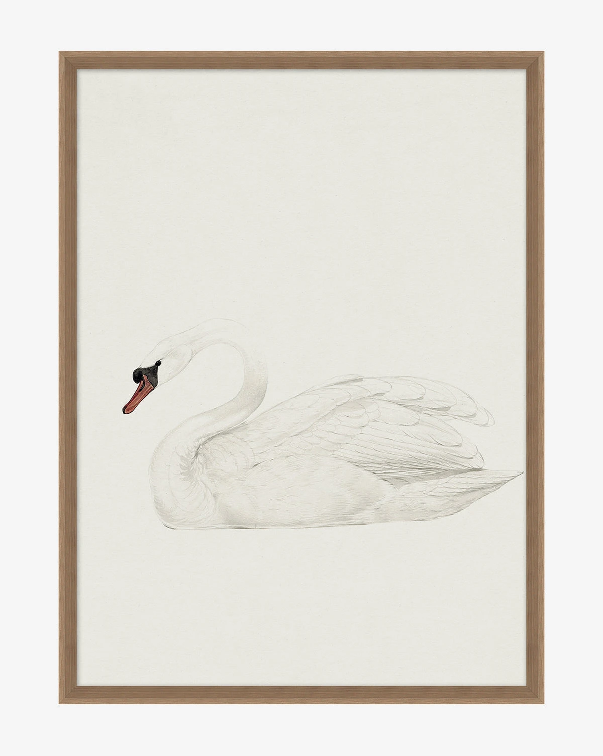 Neutral Swan 1 Neutral Swan