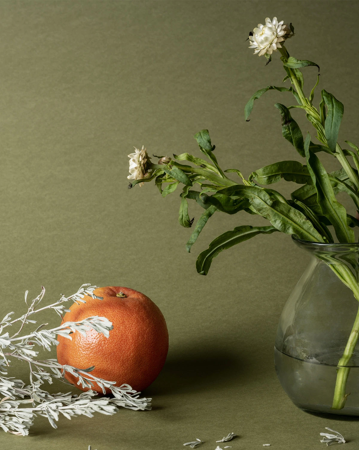 Pura X Studio McGee Wild Sage Home Fragrance Refill 2 Pura X Studio McGee Wild Sage Home Fragrance Refill - Image 2