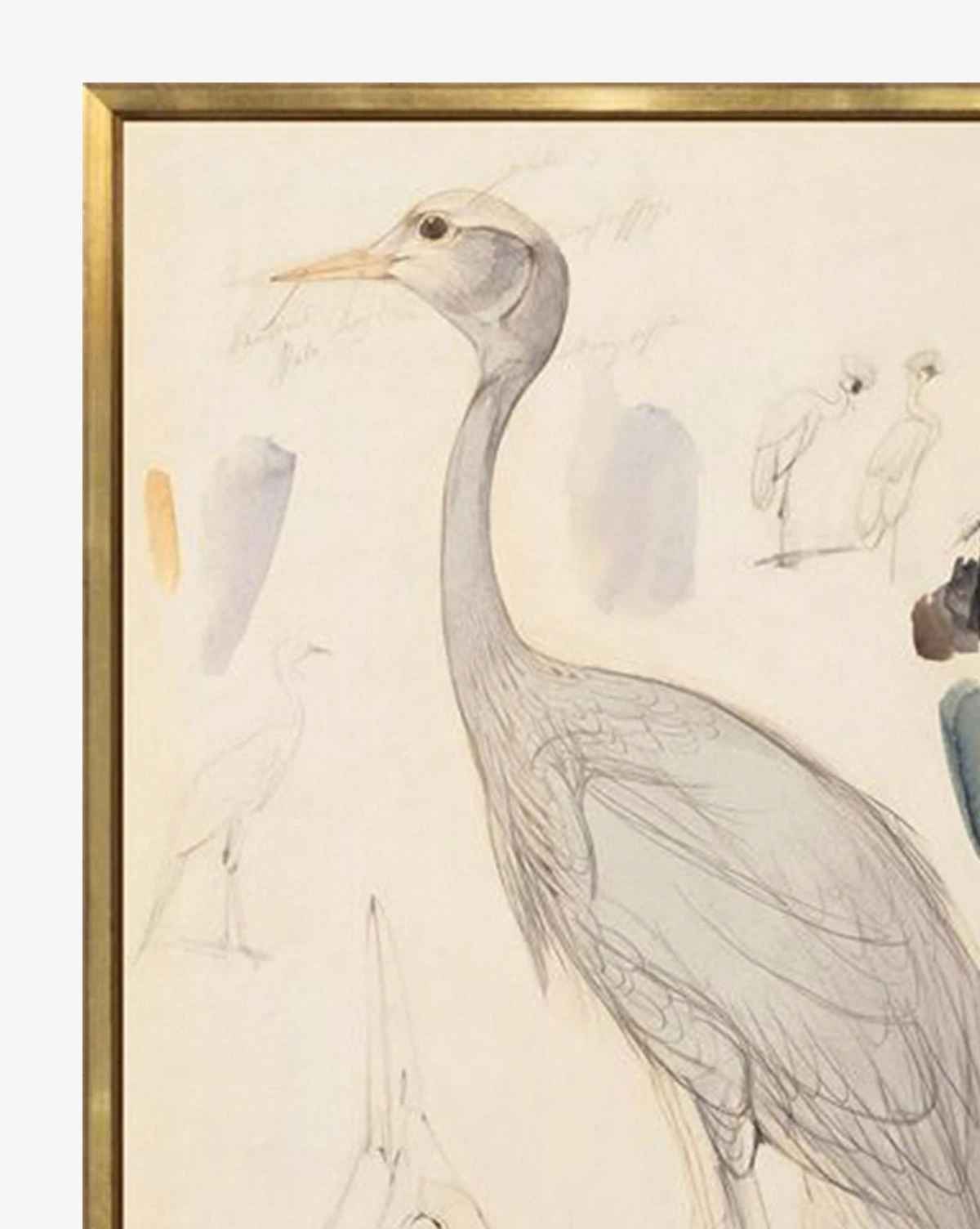 Standing Crane 2 Standing Crane - Image 2