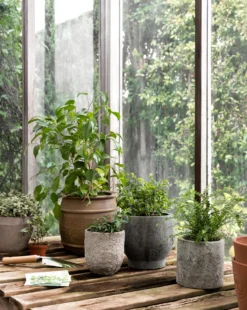 Golden Cement Pot 8 Golden Cement Pot -Bloomingville Shop Styled Outdoor 29 630705ed b697 427b 827b fe55964e327b