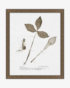 Subdued Botanicals III